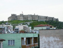 p1130455_edit0-picsay