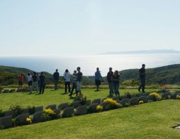 p1150085_edit0-picsay