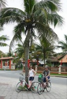 p1080893_edit0-picsay