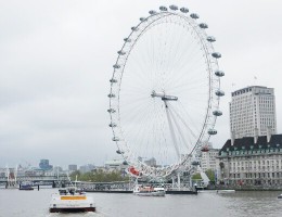 p1160105-picsay_edit0