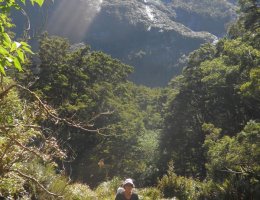 Hirere Falls Lunch Hut