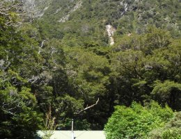 Hirere Falls Lunch Hut