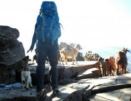 sam_1017_edit0-picsay