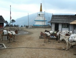 sam_1044_edit0-picsay