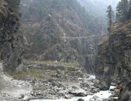 p1110252_edit0-picsay